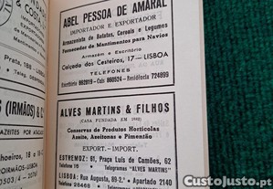 imagem_8
