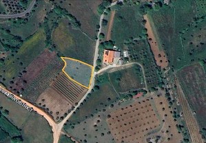Terreno Agrícola em Leiria de 1250,00 m²