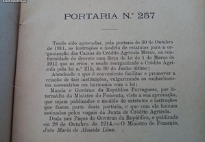 imagem_6
