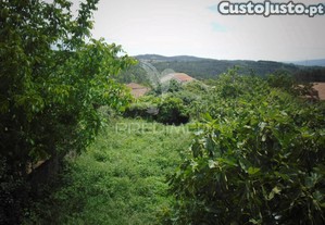 imagem_21