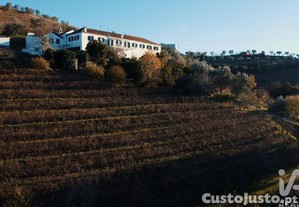 imagem_23