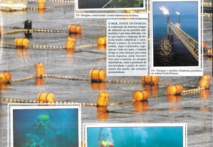 imagem_7