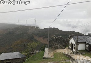 imagem_12