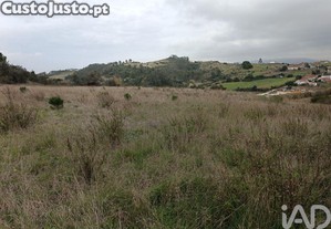 imagem_23