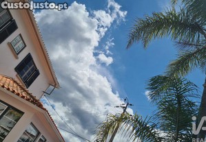 imagem_19