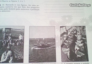 imagem_4