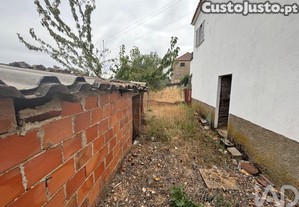 imagem_15