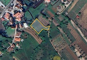 Terreno Agrícola em Coimbra de 1350,00 m²