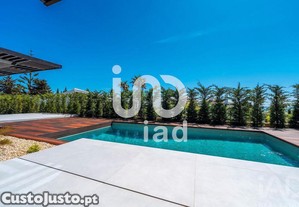imagem_21