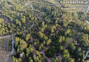 imagem_24