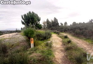 imagem_7