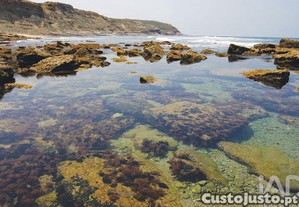 imagem_15