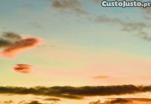 imagem_12
