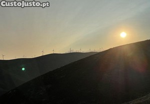 imagem_22