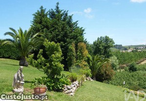 imagem_5