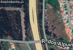 imagem_1