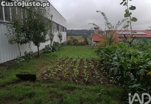 imagem_12