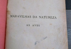 imagem_8