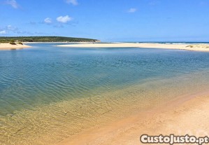 imagem_15