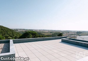 imagem_11