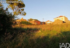 imagem_21