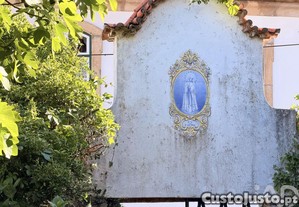 imagem_25
