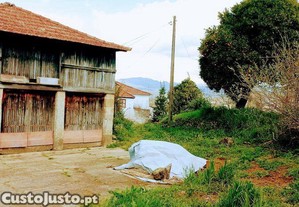 imagem_23