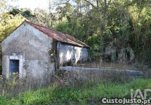 imagem_12
