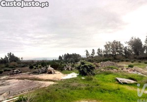 imagem_12