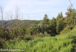 Terreno Rústico Com 5.400 M² - Pontalinhos,...