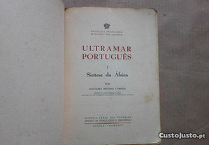 imagem_4