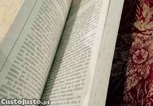 imagem_4