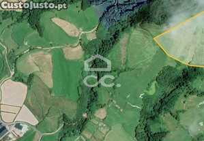 Terreno com 36.620 m2 - Ginetes - Ponta Delgada