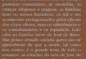 imagem_7