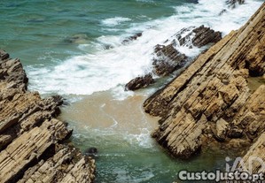 imagem_21