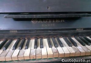 imagem_7