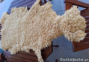 imagem_8