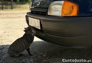imagem_2