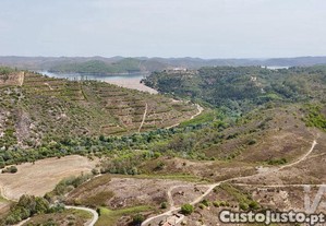 Quinta T3 em Santa Clara-a-Velha de 133,00 m2