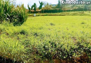 imagem_25