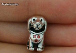 imagem_7