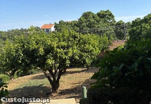 imagem_39
