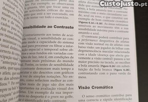 imagem_6