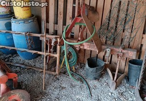 imagem_5