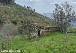 Terreno Agrícola em Tabuaço