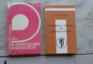 Obras de J.Carvalho Cardoso e Luís António Pardal