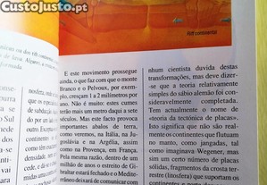 imagem_8