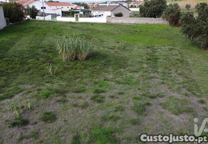imagem_11