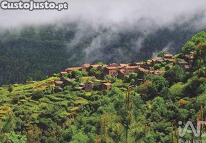 imagem_20