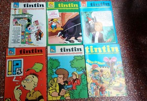 22 Revistas Tintin 9º/10º/11º ano